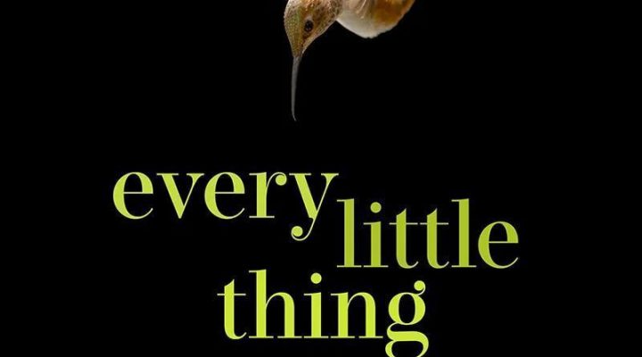 Every Little Thing