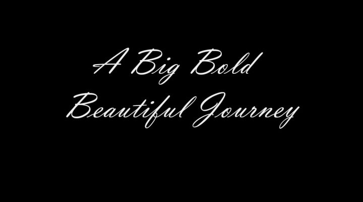 A Big Bold Beautiful Journey