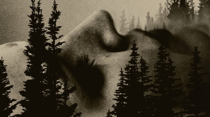 To Kill a Wolf