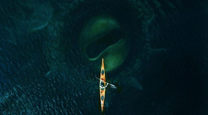 Kraken