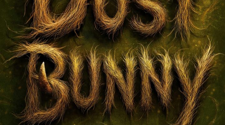Dust Bunny