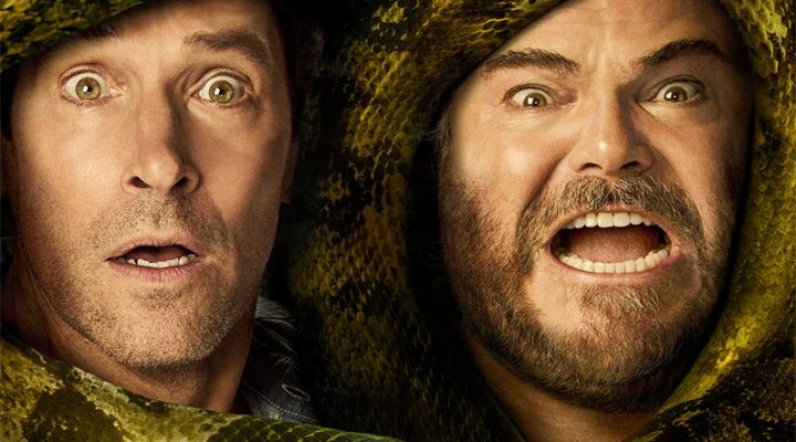 Anaconda