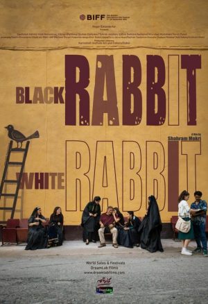 Black Rabbit, White Rabbit