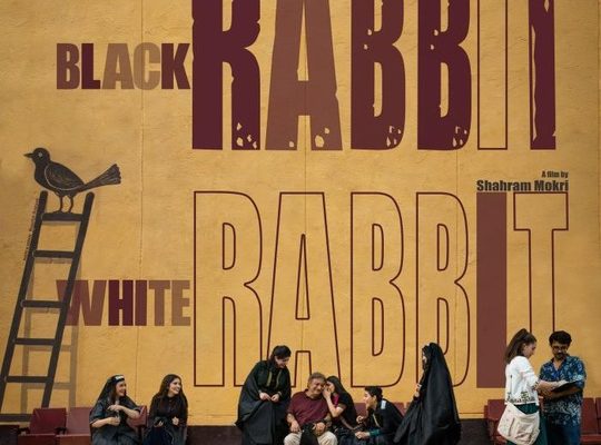 Black Rabbit, White Rabbit