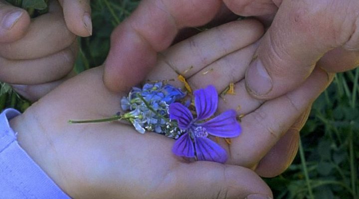 Historias del buen valle