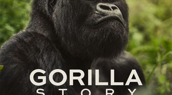 A Gorilla Story