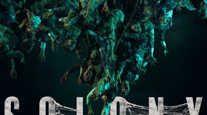 Colony