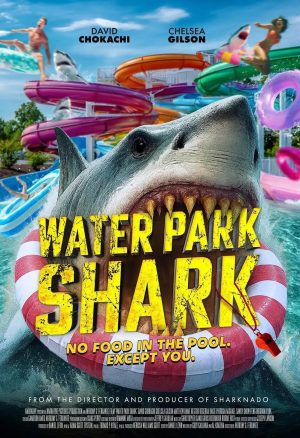 Water Park Shark