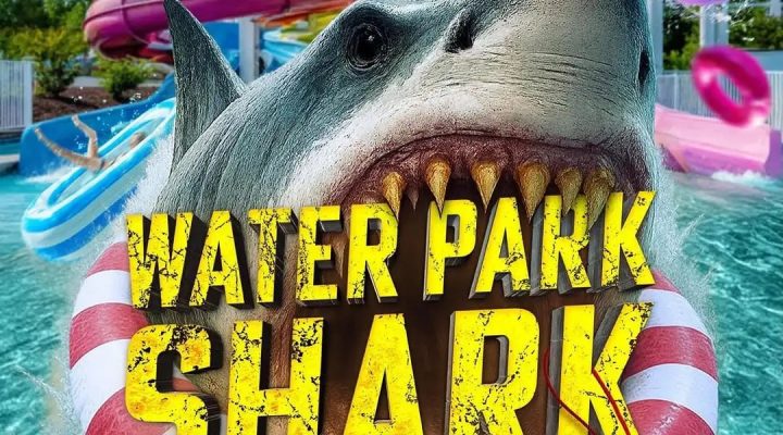 Water Park Shark