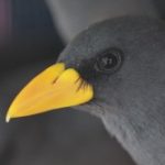 Profile picture of Al