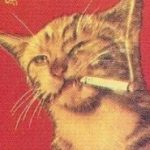 Profile picture of Pvnk