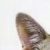 Profile picture of ErCapoAlex