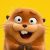 Profile picture of FindingIfHoppersMovieHasACAMRIP